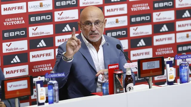 Luis de la Fuente Joan García